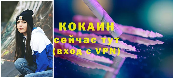 дмт Киреевск