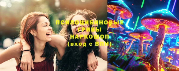 МДМА Карпинск