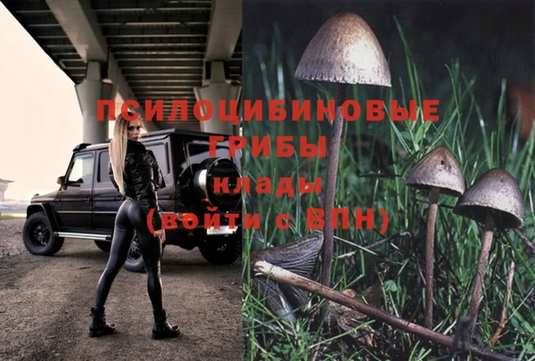 а пвп мука Кинешма