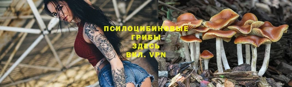 дмт Киреевск